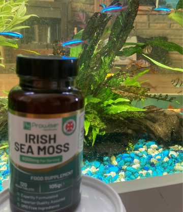Irish Sea Moss Tablets High Strength 6000mg – Irish Sea Moss Supplement 120 Vegan Tablets High Potency