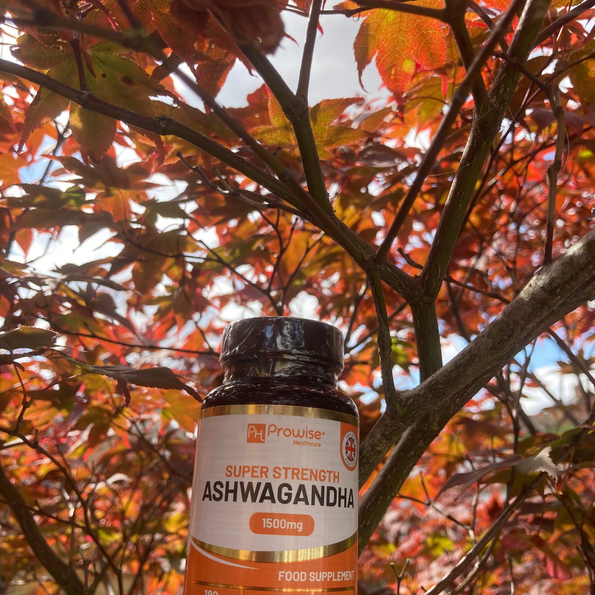 Ashwagandha 1500mg 180 Vegan Tablets | 6 Months’ Supply